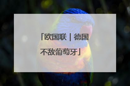 欧国联｜德国不敌葡萄牙